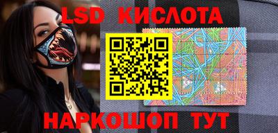 шишки Обнинск