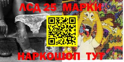 шишки Обнинск
