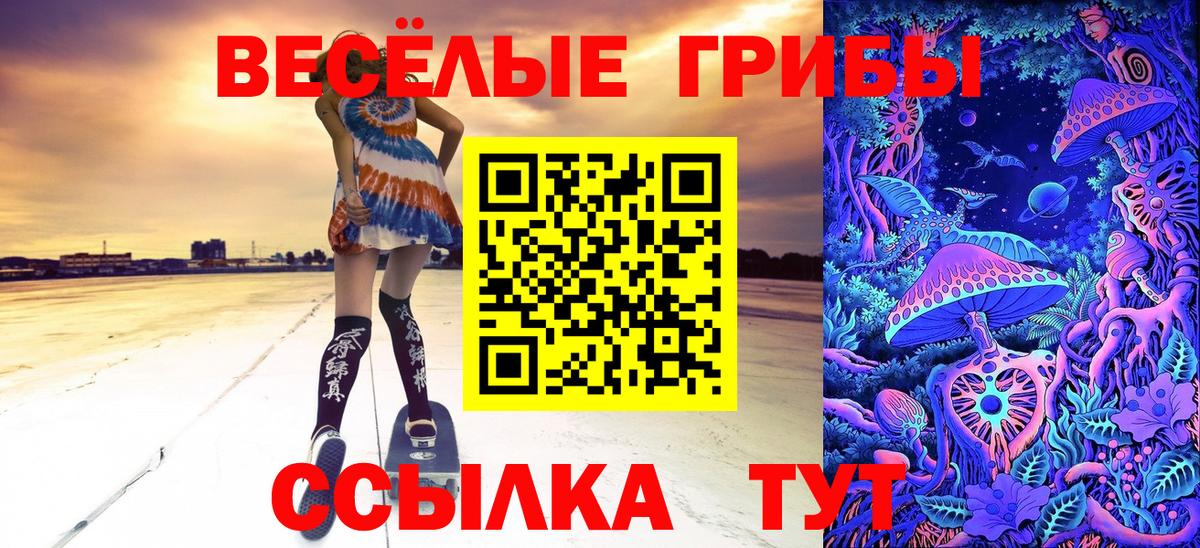Тавда  Галлюциногенные грибы ЛСД  Галлюциногенные грибы Magic Shrooms  Вход с VPN 